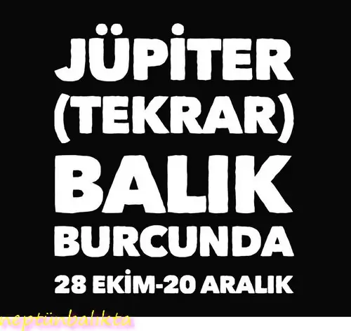 jüpi5 (1).webp