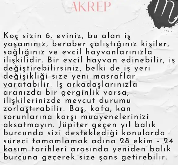 jüpi6 (8).webp