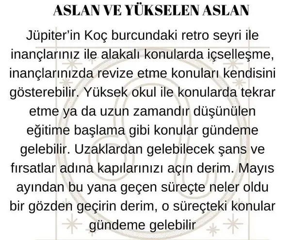 jüpi7 (7).webp
