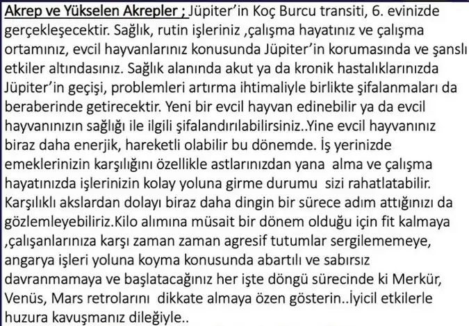 jüpi7 (8).webp