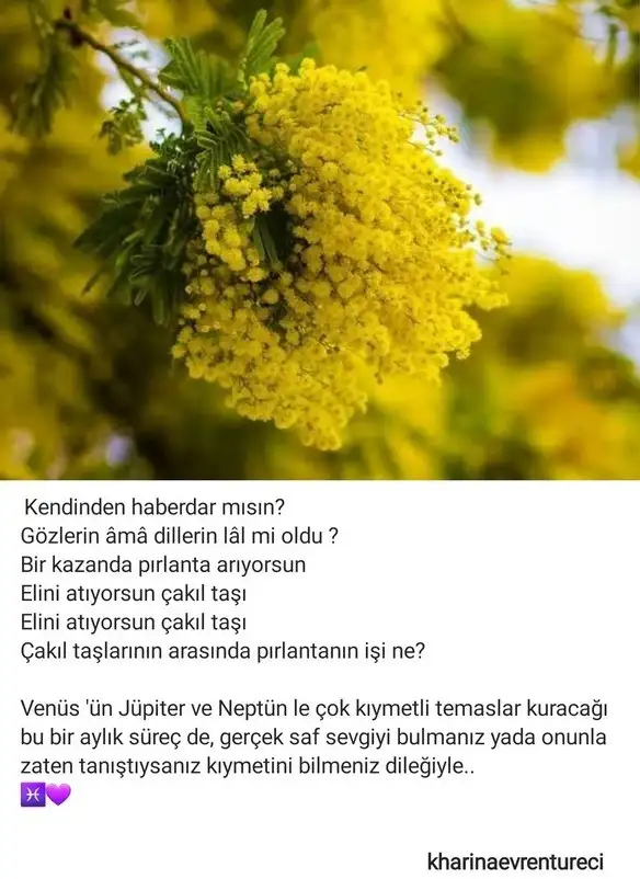 jüpiter4.webp