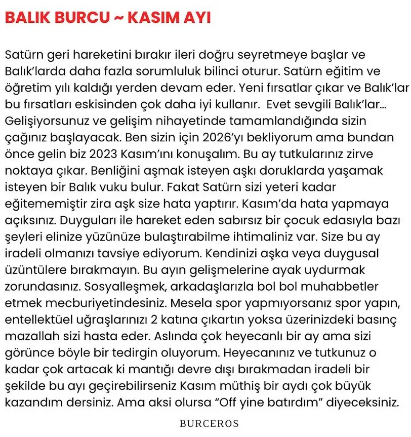 k1 (12).webp