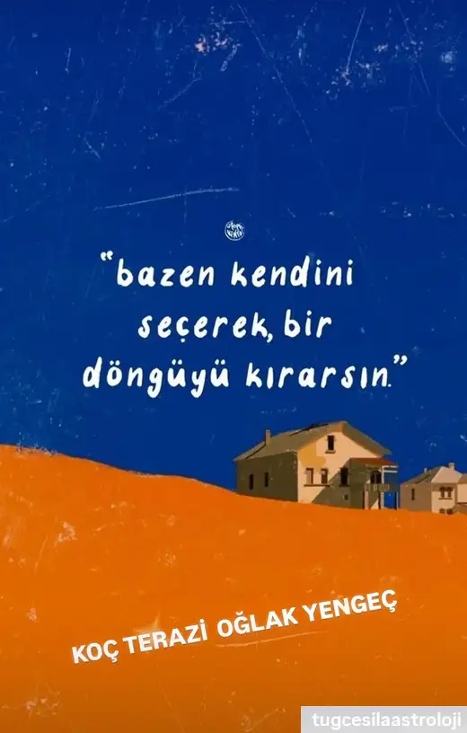 k1 (2).webp