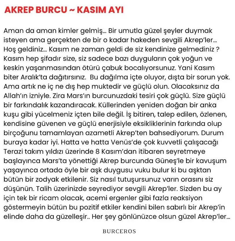 k1 (8).webp