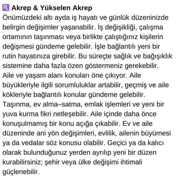 k1 (8).webp