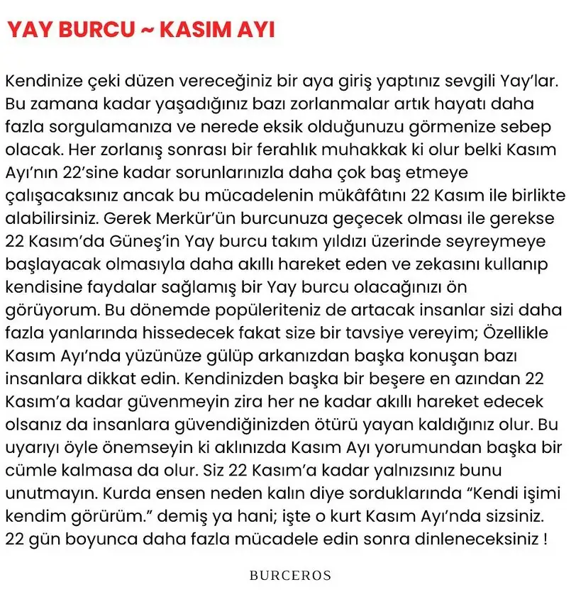 k1 (9).webp