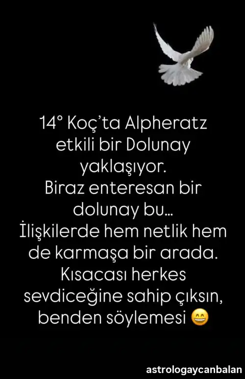 k1.webp