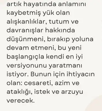 k10 (2).webp