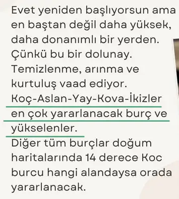 k10 (3).webp