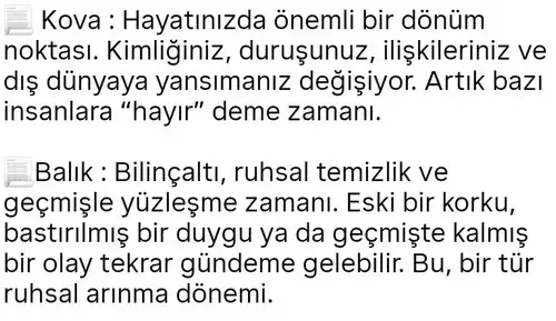 k10 (4).webp