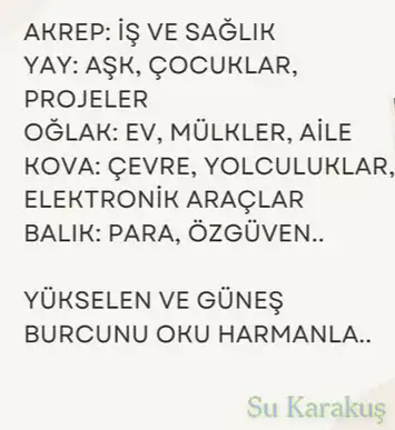 k10 (5).webp