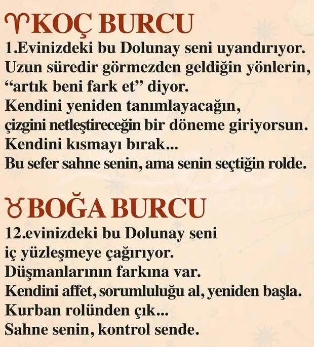 k11 (2).webp