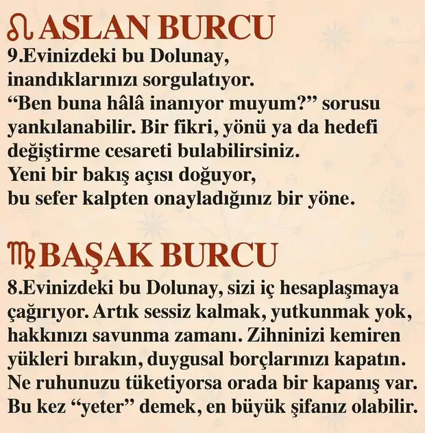 k11 (4).webp