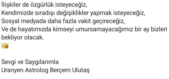 k13 (2).webp