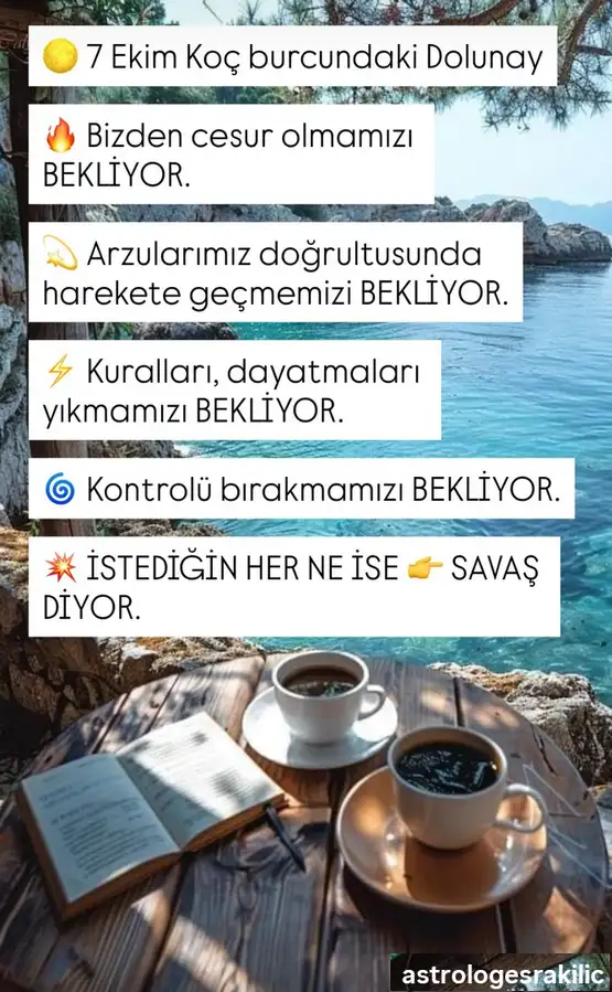k13.webp