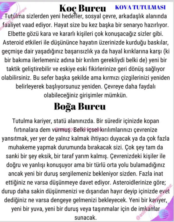 k14 (1).webp