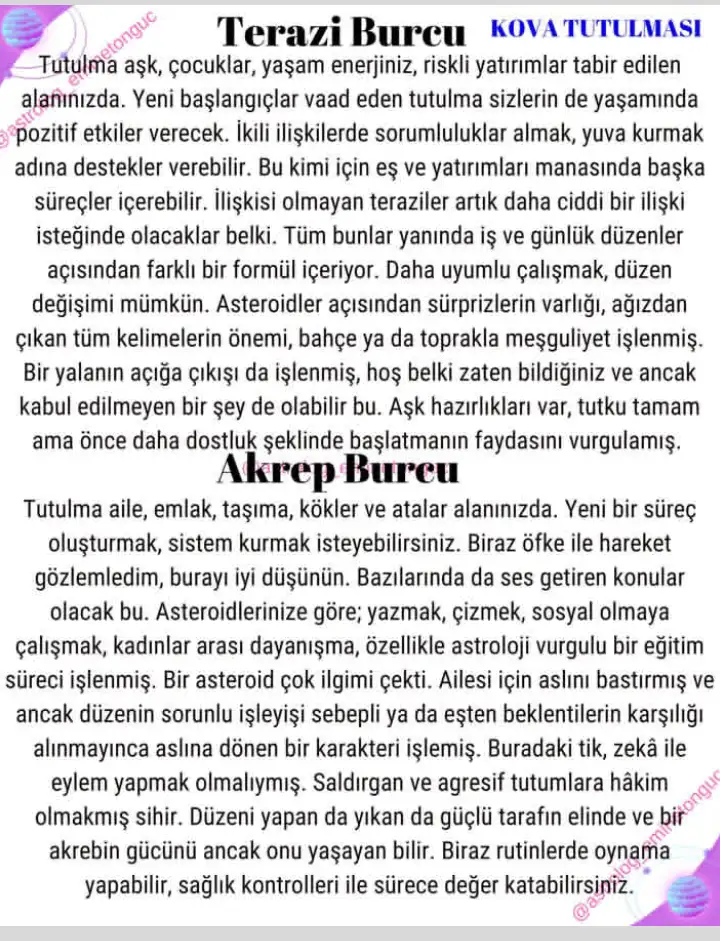 k14 (4).webp