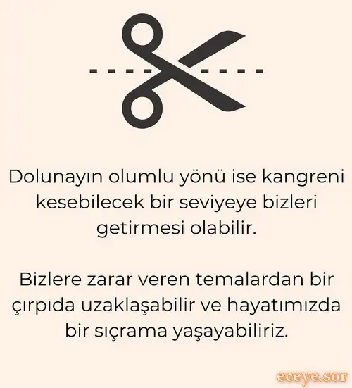 k2 (2).webp