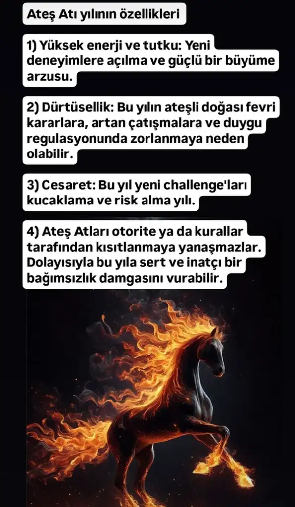 k23 (3).webp