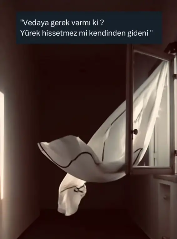 k76.webp