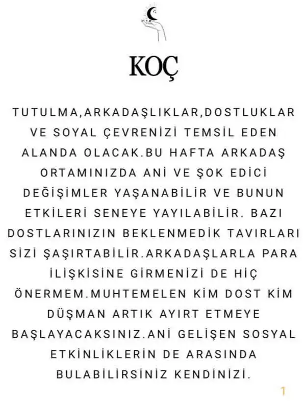 k9 (2).webp