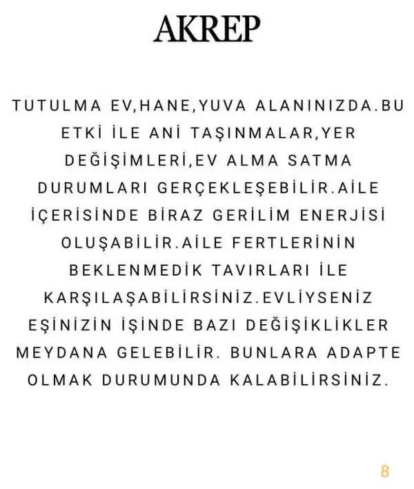 k9 (9).webp