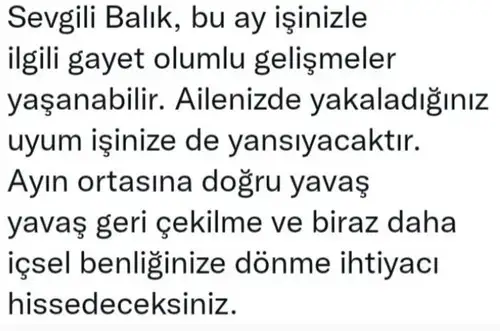 ka 5 (38).webp