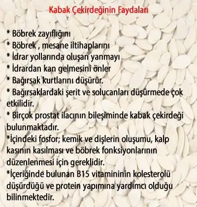 kabak.webp