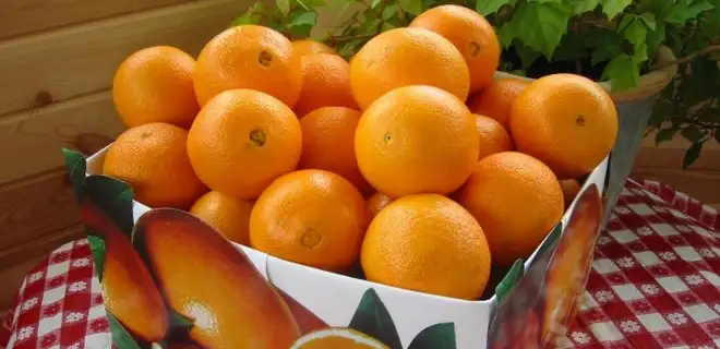 kadinlara_ozel_vitamin.webp