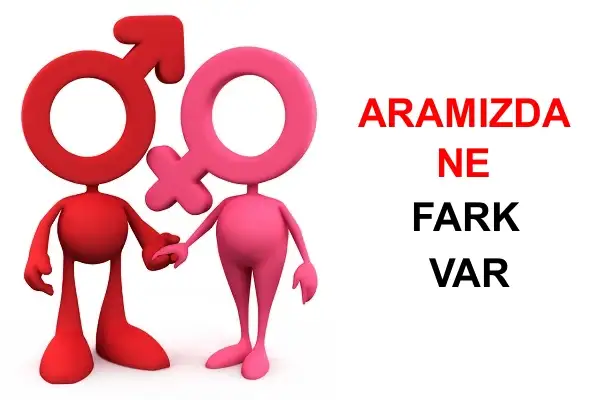 kadinveerkekfarki.webp
