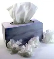 kağt mendil.webp