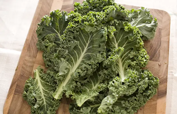 kale-yesil-bitki-mkl.webp