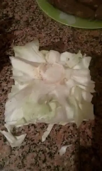 kalem_gibi_lahana_sarmak_icin (3).webp