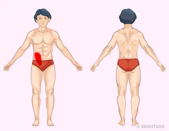 kalin_bagirsak.jpg