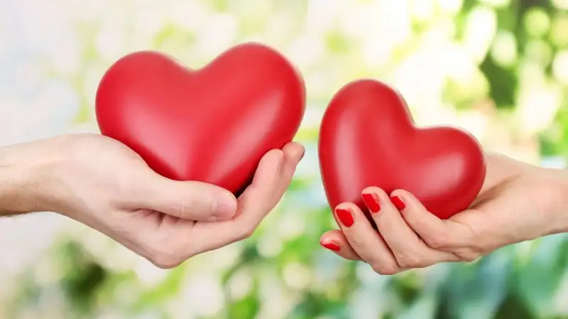 kalp_kalbe_karyue_derler[1].webp