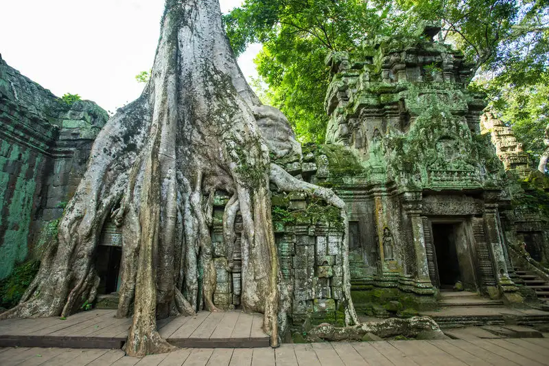 kamboçya-daki-ta-prohm-tapınağı.webp