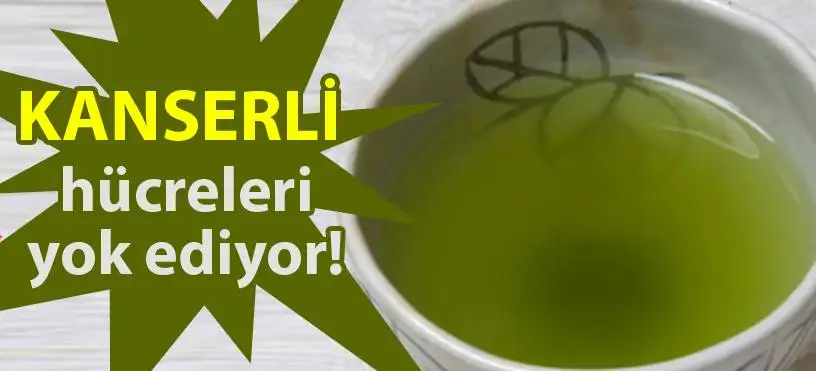 kan.webp