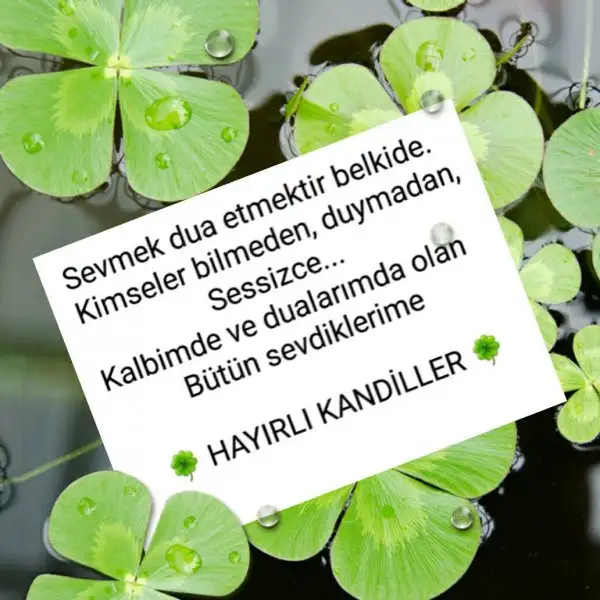 kandil.webp
