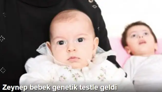 Kantitatif PCR Genetik Testi.webp