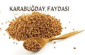 karabuğday.webp