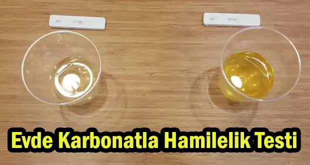 karbonatla_hamilelik_testi_gebelik.webp