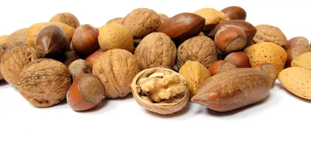 karisikkuruyemis1.webp