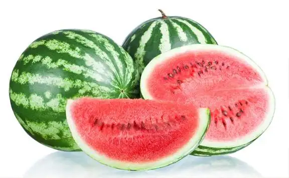 karpuz.webp