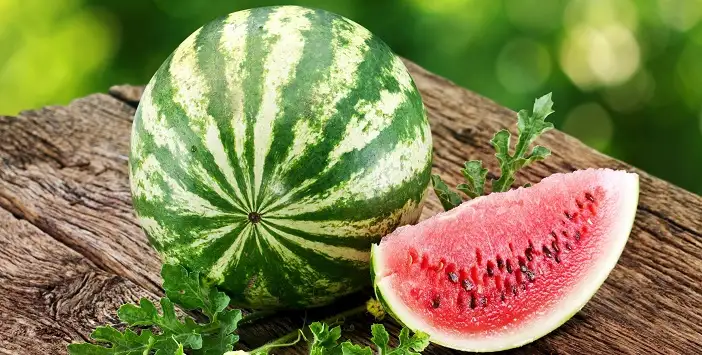 karpuz.webp