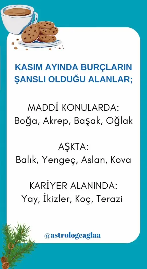 kas (1).webp
