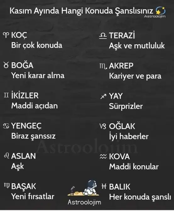 kas (2).webp