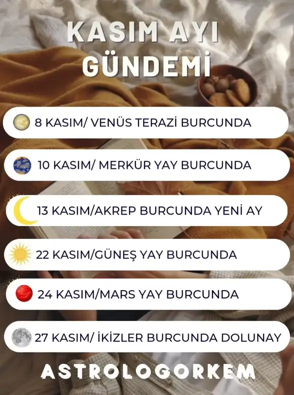 kas (3).webp