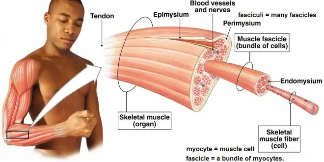kas-sistemi-660x330.webp