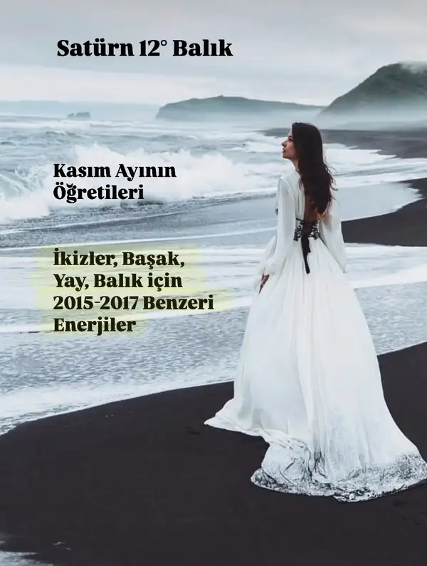 kas2 (1).webp