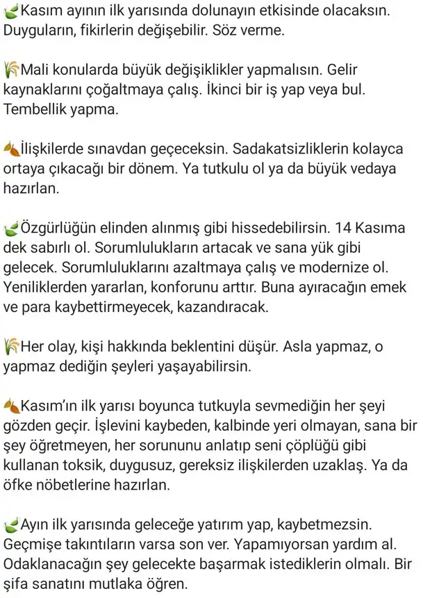 kasım (2).webp